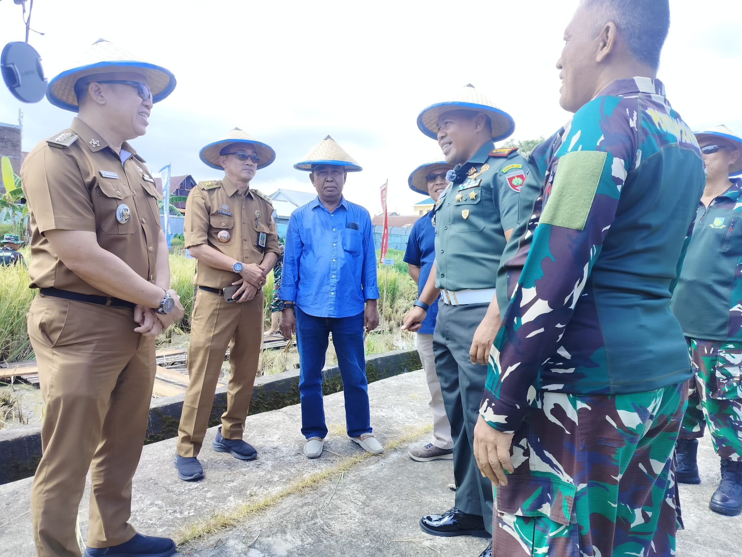 Pomdam XIV/Hsn melaksanakan Panen Padi Perdana Ketahanan Pangan Pomdam XIV/Hsn di Lahan Staltahmil Pomdam XIV/Hsn.