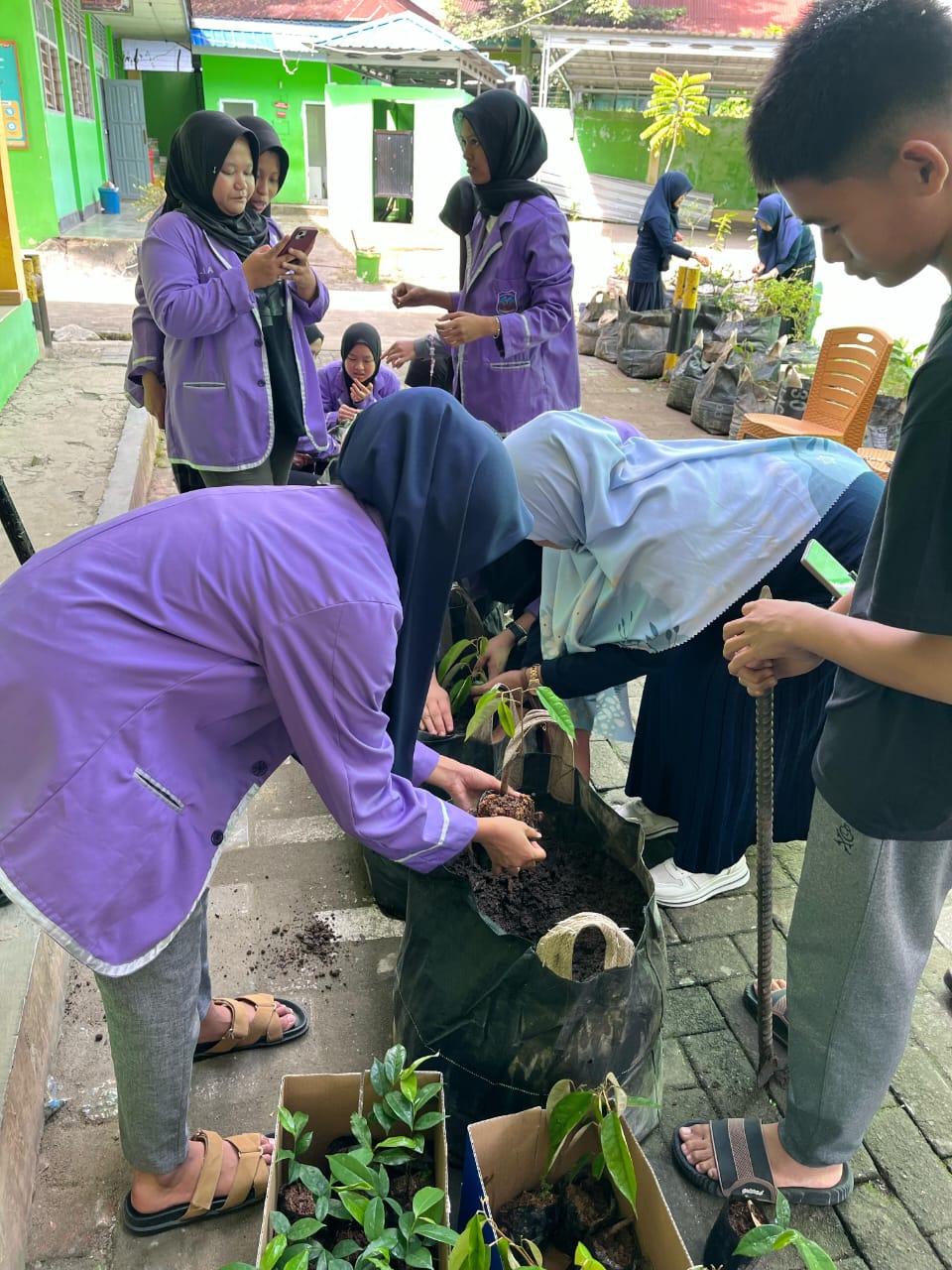 Gerakan Indonesia Menanam Melalui Wadah Polybag akibat Keterbatasan Lahan