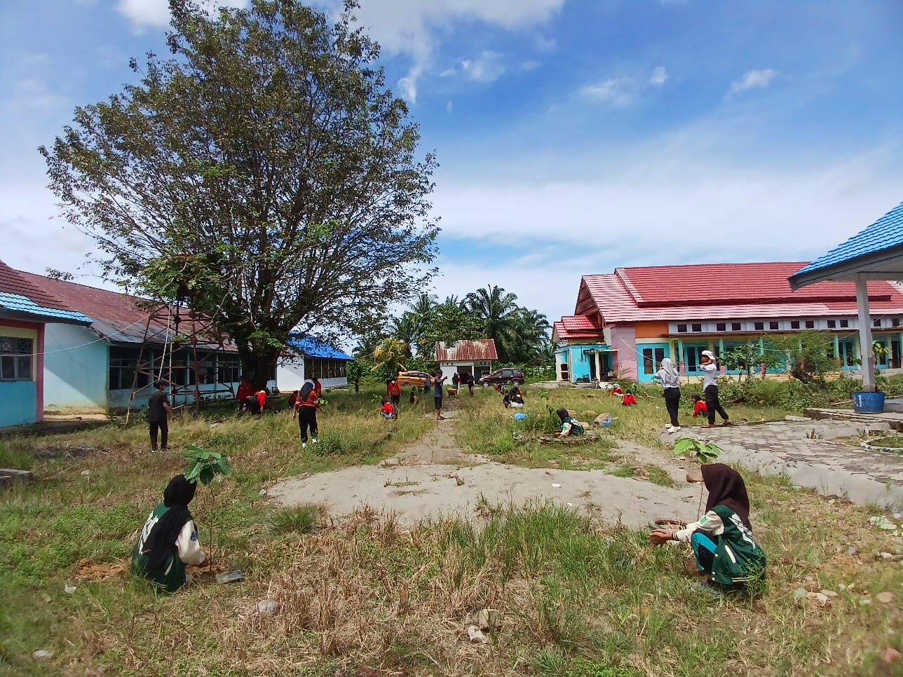 SMAN 2 Lutim, Gelar Aksi Penanaman Pohon dalam rangka Hari Bumi.