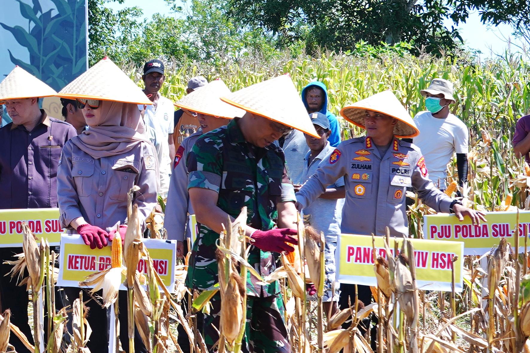 Pangdam XIV/Hsn Hadiri Panen Raya Jagung Serentak Kuartal II dan Ground Breaking Gudang Jagung Gabah Secara Virtual di Takalar
