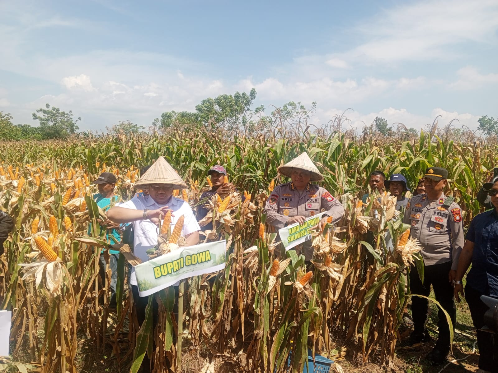 Panen Raya Jagung Serentak Kuartal III di Kab. Gowa
